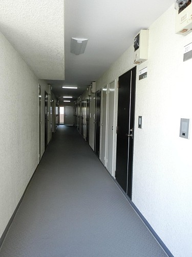 �������δ������֤��ɹ��Ǥ�