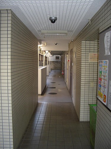 ���ʥ���ȥ�󥹥ۡ���Ǥ�