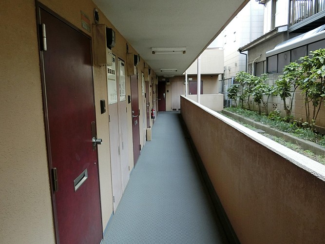 �������δ������֤��ɹ��Ǥ�