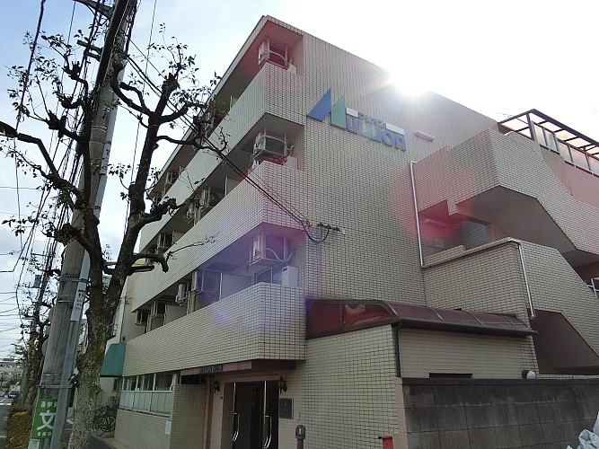 Ω�ɤ�¤��γ��ѤǤ�