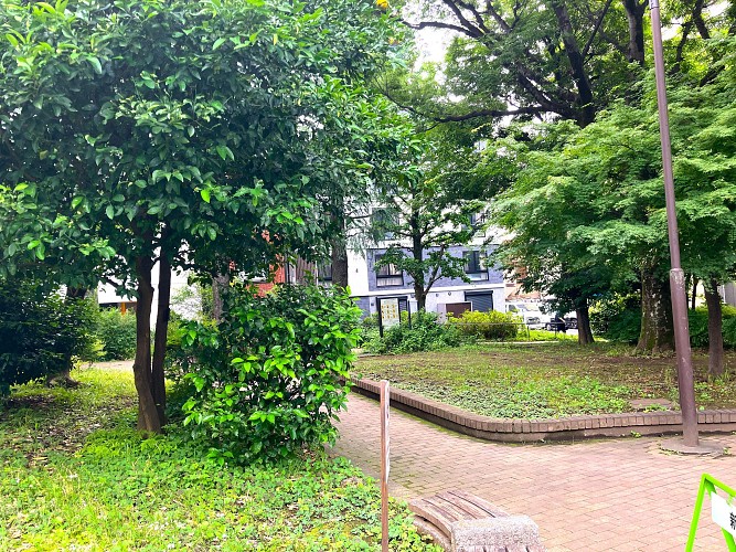 マンション前は緑豊かな公園となっています。 マンション前は緑豊かな公園となっています。
